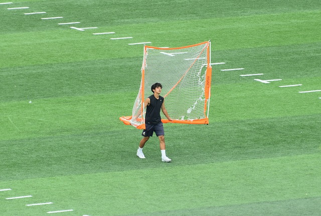 期间