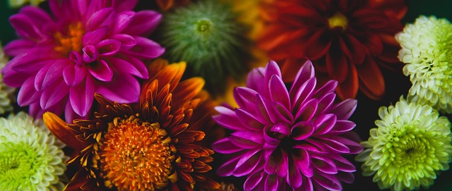 合理利用 合理利用