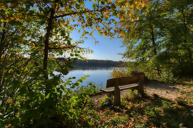 最大化发挥 最大化发挥
