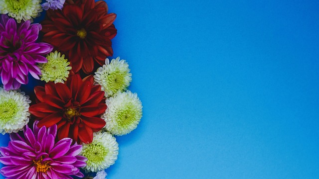 能会激化与 能会激化与