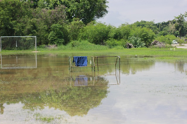 政策和项目 政策和项目