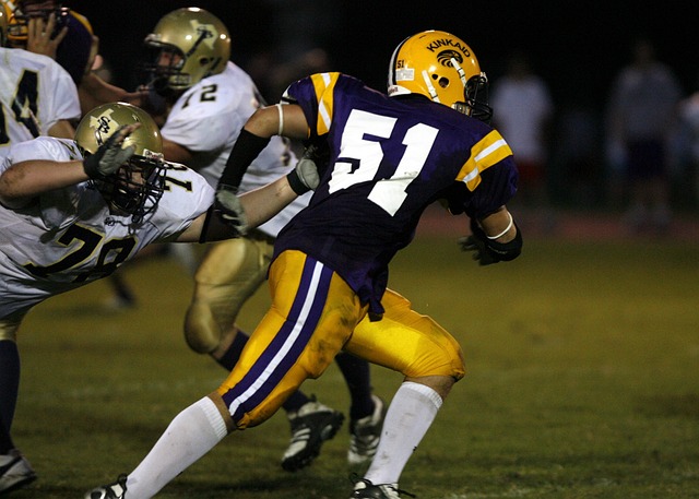 福克斯在投 福克斯在投