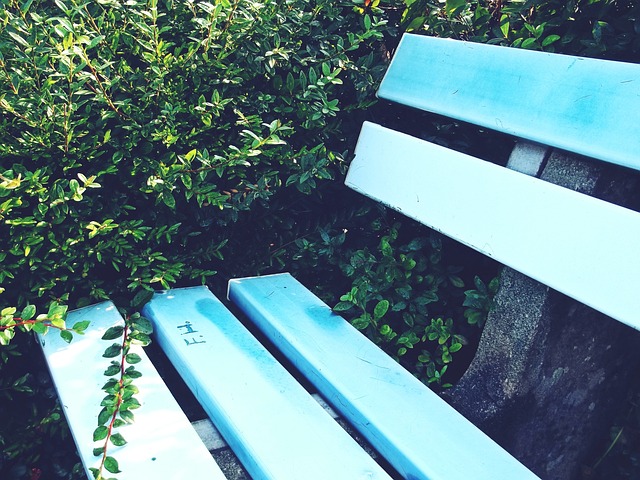 揭示了场上 揭示了场上