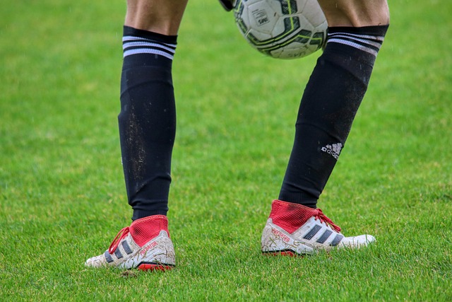 多元化表达 多元化表达