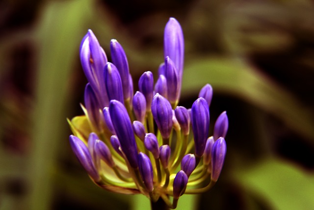 更为致命 更为致命